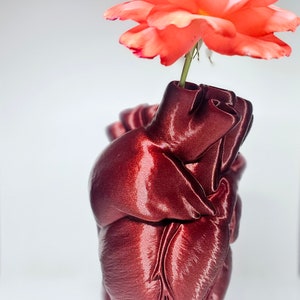 Vase coeur anatomique, décoration de bureau gothique, jardinière d'Halloween