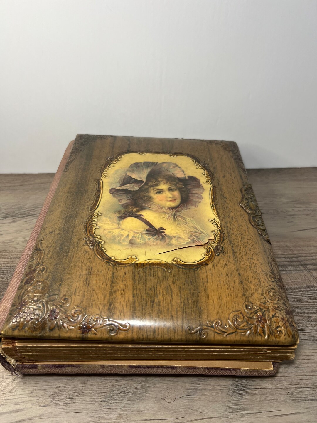 Antique Victorian Celluloid and Velvet Photo Album, Large Antique Photo