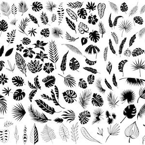 Tropical leaves svg,   Monstera Leaf Svg Clipart,  Jungle Leaves Clipart, Palm Branch Svg, Tropical Party Decor,  Floral Svg