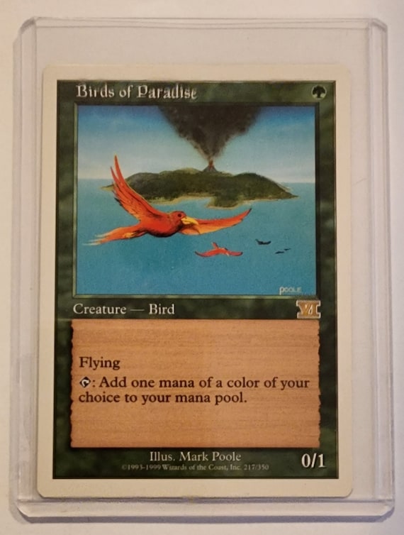 MTG - Magic the Gathering - 6th Edition - Birds of Paradise - Never Played - Etsy MTG - Magic the Gathering - 6th Edition - Birds of Paradise - Never Played - Etsy