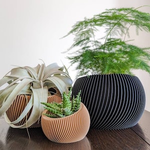 URCHIN - Geometric Planter | Modern Planter | 3D Printed Planter | Flower Pot