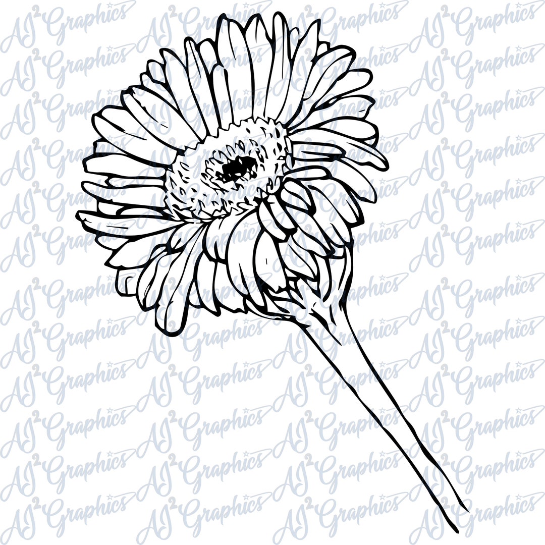 Gerber Daisy Cut File SVG, PNG, Jpeg Etsy