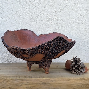 Op de afbeelding: Een terracotta-kleurige keramische kom met een brede, onregelmatige en golvende rand. De buitenkant heeft een donkere, zwaar getextureerde en poreuze afwerking. De kom rust op drie korte, dikke poten en staat naast een enkele dennenappel.