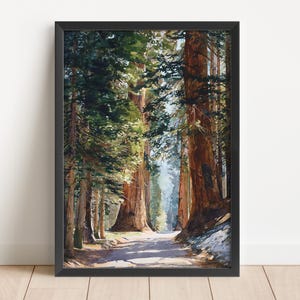Puede incluir: Una impresión enmarcada de una escena forestal. La obra de arte representa un camino que serpentea a través de imponentes secuoyas, con la luz del sol filtrándose a través de las ramas. La paleta de colores incluye verdes, marrones y toques de azul.