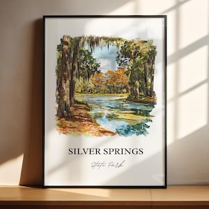 Könnte beinhalten: Ein Aquarellgemälde des Silver Springs State Park in Florida. Das Gemälde zeigt einen üppigen, grünen Wald mit einem sich schlängelnden Fluss, der durch ihn fließt. Die Bäume sind mit spanischem Moos behängt, und das Wasser hat eine leuchtend blaugrüne Farbe. Der Text "Silver Springs State Park" ist in Schwarz am unteren Rand des Gemäldes geschrieben.