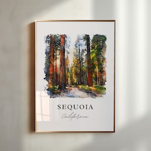 Sequoia CA Wall Art, Sequoia National Park Print, Sequoia Watercolor Art, Sequoia Park Gift, Travel Poster, Housewarming Gift