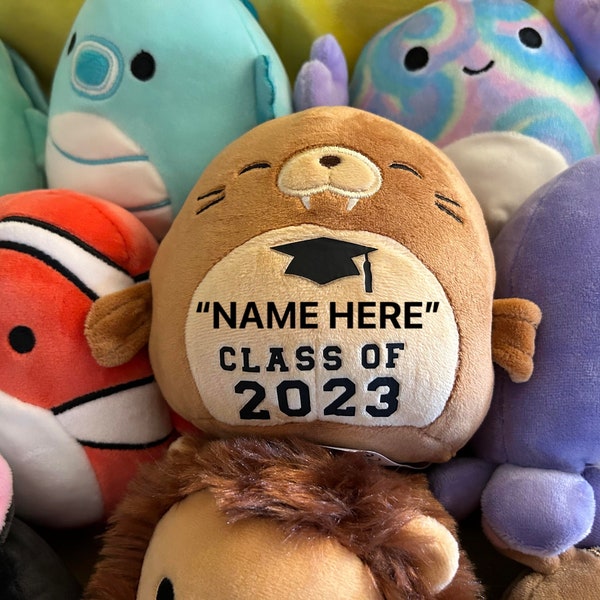 PERSONALIZED SQUISHMALLOWs “CLASS OF 2024” with his Or her name Added!