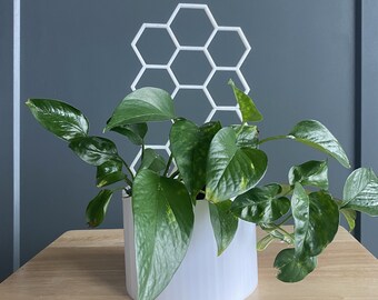 Plant Pot with Trellis Digital File
