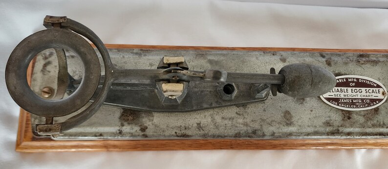 Peut inclure: Une balance &agrave; &oelig;ufs vintage en m&eacute;tal avec une base en bois. La balance a un anneau circulaire sur le c&ocirc;t&eacute; gauche et un levier sur le c&ocirc;t&eacute; droit. La balance est &eacute;tiquet&eacute;e "Reliable Egg Scale" et "See Weight Chart".