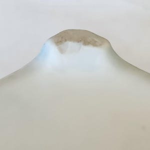 May include: Close-up of the underside of a white ceramic plate with a slightly raised rim. The plate has a light blue glaze and a small brown mark on the rim.