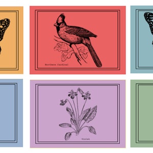 10 Illinois Blank Greeting Cards!