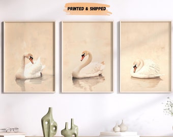 LakelzDecor Vintage Swan Watercolor Wall Art, Set of 3, Large Minimalist Decor, Japan Antique Gallery, Beige Oil Painting, Country Farmhouse