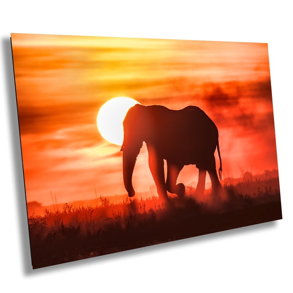 African Elephant at Sunset Wildlife Photography, Canvas Wall Art, Animal Poster, Nature Wall Art, Fine Art Photography, home. office decor