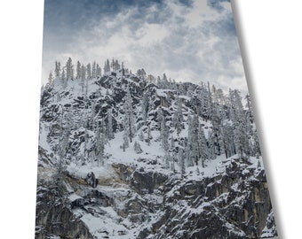 Yosemite Winter Mountain Photo: Snowy Trees Canvas Wall Art