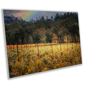 Winery Print, California Napa Valley Vineyard with Rainbow| Canvas Wall Art, Fine Art Photography | home office bar restaurant