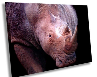 Rhino Photography Print, Africa Wildlife, Nature Wall Art