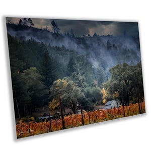 Winery Print, California Napa Valley Misty Vineyard Photo | Canvas Wall Art, Fine Art Photography | home decor, office decor