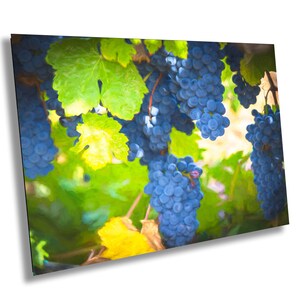 Vineyard Fine Art Photography | California Ripe Wine Grapes Photo | Winery Canvas Wall Art Poster | Vineyard Print, Acrylic, Metal, Paper