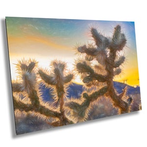 Joshua Tree Fine Art Photography | Desert Sunset. Iconic Cholla Cactus Landscape Poster | National Park Nature Canvas Wall Art