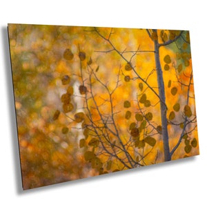 Kalifornische Herbst Farbe Fine Art Photography | Leinwand Wand Kunst | 20 x 20cm x 40cm x 40 cm  Hope Valley Herbst | Haus, Büro Dekor