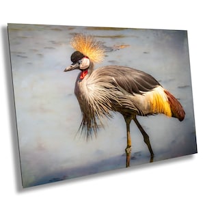 African Birds |  Black-Crowned Crane Nature Print, Serengeti Wall Art, Canvas Wildlife Photo | Fine Art photography | home, office decor