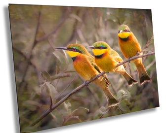 Little Bee Eaters Photography Print: Tanzania Wildlife Wall Art