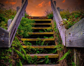 Sonoma Coast Sunrise Stairs | Canvas Wall Art |  California Scenic Landscape | home, wall decor | paper, canvas, acrylic