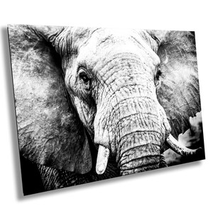 African Elephant, Wildlife Photography, Black and White Animal Poster, Nature Canvas Wall Art, Fine Art Photography, home, office decor