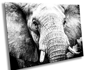 May include: A black and white close-up photograph of an elephant's face. The elephant's eye is visible, as well as its trunk and tusks.