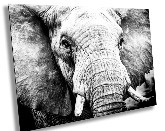 African Elephant, Wildlife Photography, Black and White Animal Poster, Nature Canvas Wall Art, Fine Art Photography, home, office decor