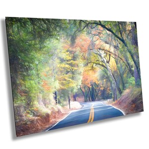 California Autumn Colors Fine Art Photography | Canvas Wall Art | Sierra Nevada Fall Foliage | Gold Country Foothills Road to Lake Tabeaud