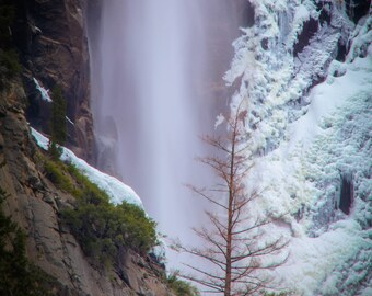 Yosemite Bridalveil Falls | Canvas wall art | Travel Nature photography, Yosemite Valley, glossy paper | canvas | acrylic wall decor