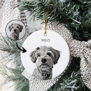 Customized Pet Christmas Ornaments Custom Dog Ornament Custom Cat Ornament Dog Memorial Ceramic Ornament Pet Loss Gift Dog Name Ornament