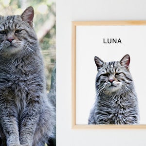 May include: A framed print of a gray tabby cat with the name "LUNA" printed above the image.
