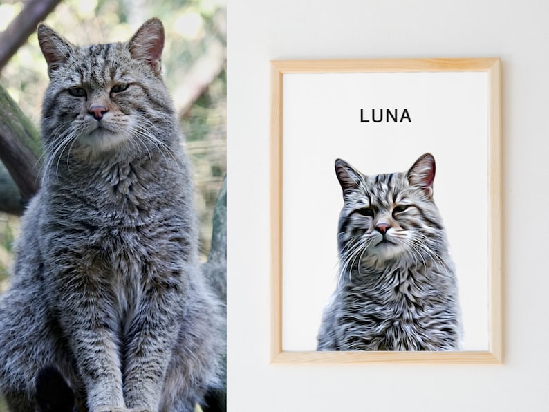 May include: A framed print of a gray tabby cat with the name "LUNA" printed above the image.
