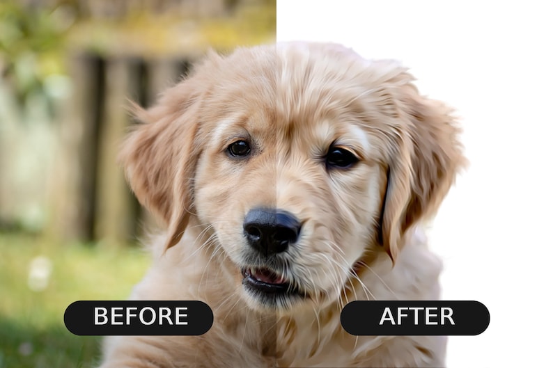 May include: A close-up of a golden retriever puppy with brown eyes. The puppy is looking at the camera with a curious expression. The background is blurred and out of focus.