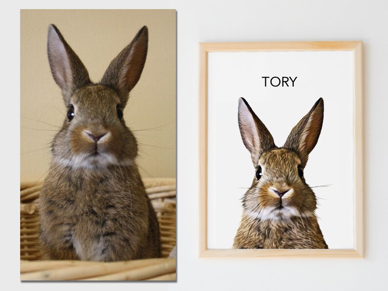May include: A brown rabbit with long ears and a white patch on its chest, looking directly at the camera. The rabbit is in a wicker basket. The image is a print with the name "TORY" printed above the rabbit.