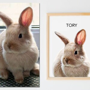 May include: A framed print of a brown rabbit with pink ears. The print has the name "TORY" written in black text at the top.