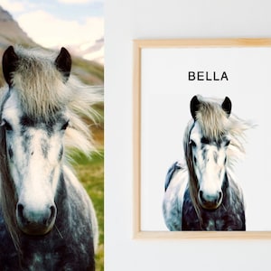 Custom Horse Portrait From Photo Custom Horse Portrait Personalized Horse Gifts Custom Horse Gifts For Horse Lovers Gift Horse Memory image 4