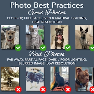 May include: An informational graphic titled Photo Best Practices with text Good Photos and Bad Photos. It displays eight pet photographs, four marked with green checkmarks for quality and four with red x marks for poor lighting or composition.
