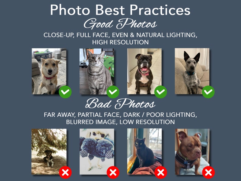 May include: An informational graphic titled Photo Best Practices with text Good Photos and Bad Photos. It displays eight pet photographs, four marked with green checkmarks for quality and four with red x marks for poor lighting or composition.