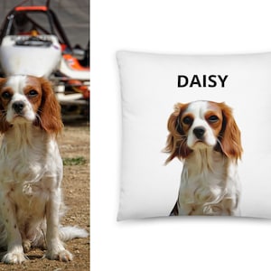 Puede incluir: Una almohada blanca con una ilustraci&oacute;n de un perro marr&oacute;n y blanco y el nombre "DAISY" impreso en texto negro.