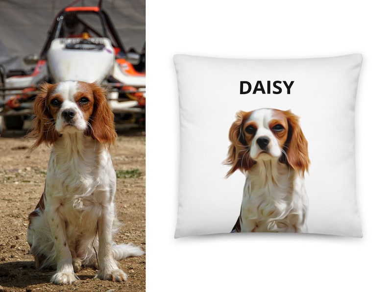 Puede incluir: Una almohada blanca con una ilustraci&oacute;n de un perro marr&oacute;n y blanco y el nombre "DAISY" impreso en texto negro.