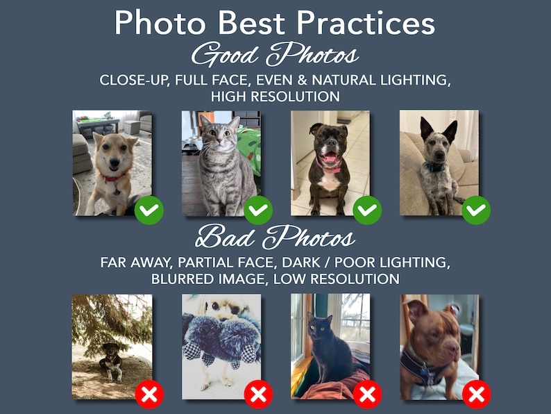 Puede incluir: Una gu&iacute;a para tomar buenas fotos de mascotas. La fila superior muestra ejemplos de buenas fotos: primer plano, cara completa, iluminaci&oacute;n uniforme y alta resoluci&oacute;n. La fila inferior muestra ejemplos de malas fotos: de lejos, cara parcial, iluminaci&oacute;n oscura o deficiente, imagen borrosa y baja resoluci&oacute;n.