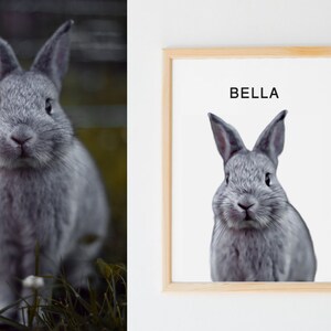 May include: A framed print with a white background featuring a gray rabbit with the name "BELLA" printed in black text at the top.
