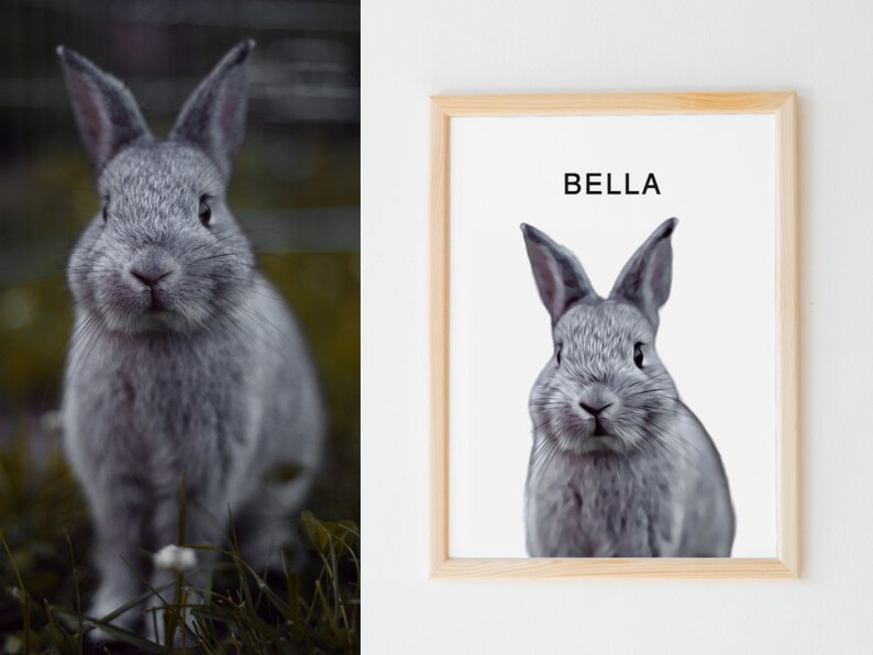 May include: A framed print with a white background featuring a gray rabbit with the name "BELLA" printed in black text at the top.