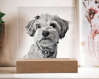 Individuelle Haustier Gedenktafel Vom Foto Individuelles Haustier Porträt Individuelles Katzenportrait Individuelles Hundeportrait Haustier Erinnerungsgeschenk Haustier Erinnerung Geschenk Verlust