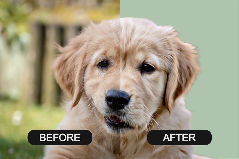 May include: A side-by-side comparison of a golden retriever puppy before and after a photo editing process. The before image shows the puppy in a blurry green background, while the after image shows the puppy against a solid green background.