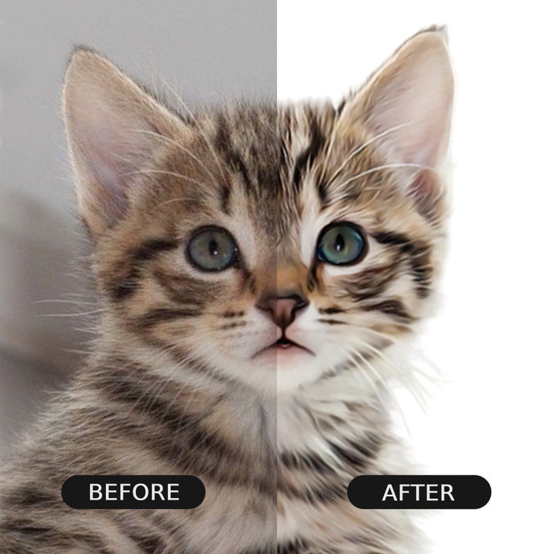 May include: A close-up of a tabby kitten with green eyes. The image is split in half, showing the kitten before and after a background removal process. The left side of the image shows the kitten against a gray background, while the right side shows the kitten against a white background.