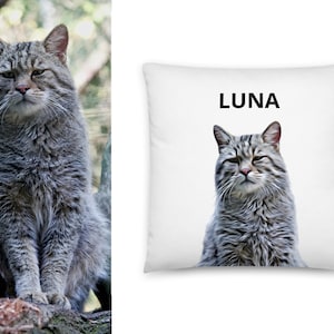 Puede incluir: Una almohada blanca con una imagen de un gato gris y la palabra "LUNA" impresa en negro.